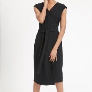 Everlane Japanese Go Weave Blue Wrap Dress